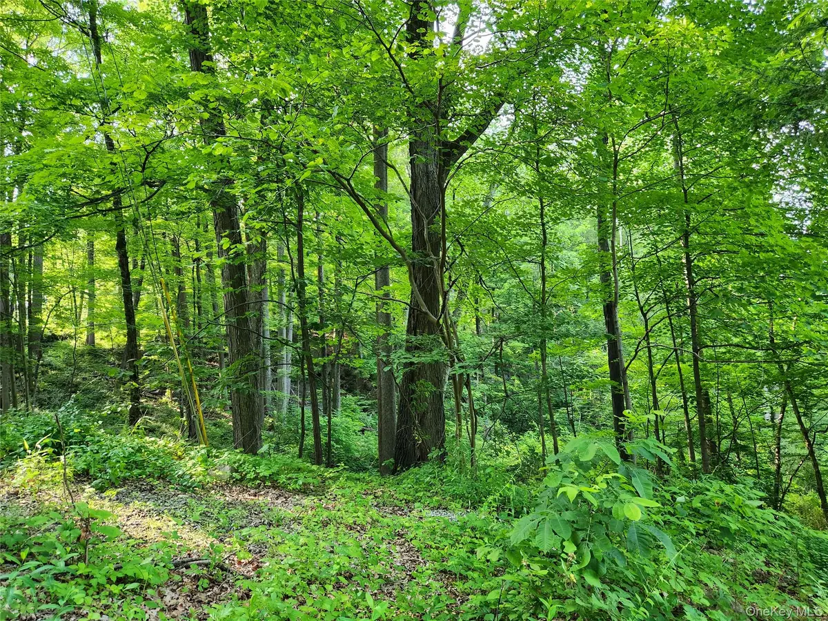 106 Upland Drive, Garrison, NY 10524 - #1