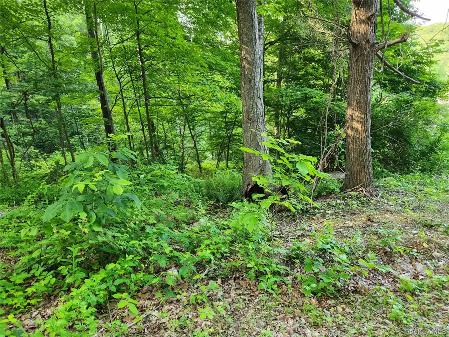 106 Upland Drive, Garrison, NY 10524 - #2