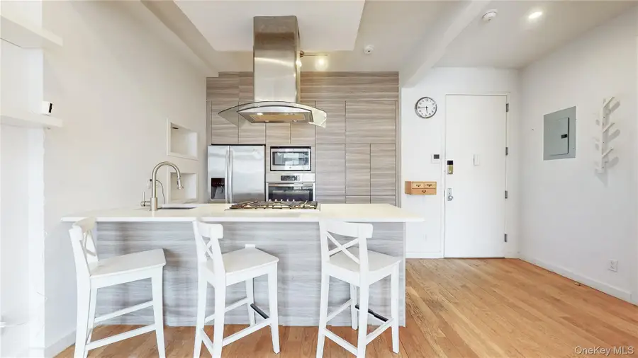 244 Franklin Avenue #3B, Brooklyn, NY 11205 - Image #2