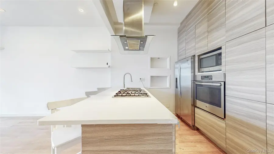 244 Franklin Avenue #3B, Brooklyn, NY 11205 - Image #3