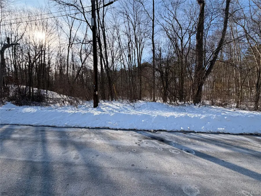 11 White Birch Road, Hyde Park, NY 12538 - #2