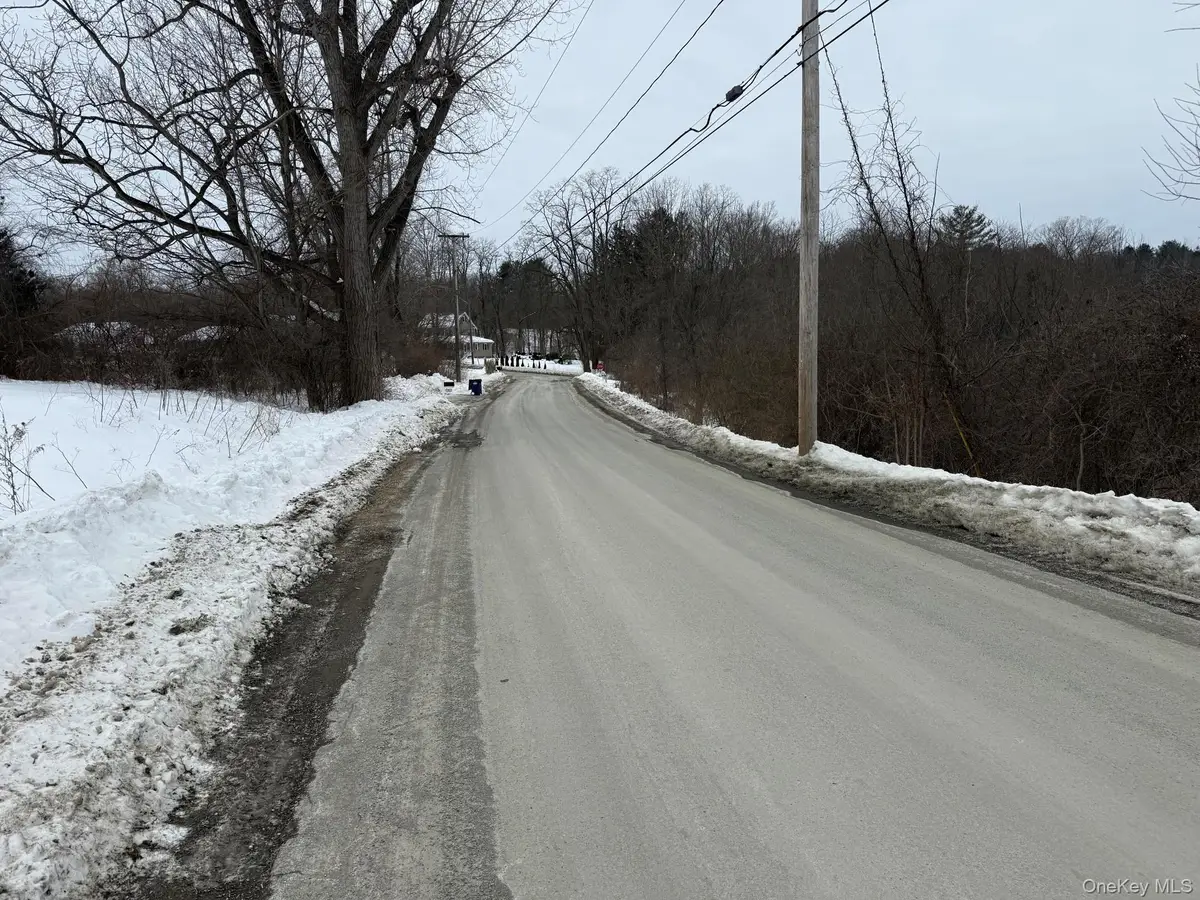 8 Yellow City Rd, Amenia, NY 12501 - #1
