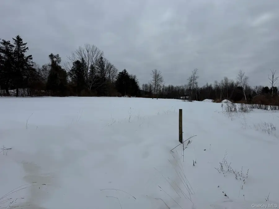 8 Yellow City Rd, Amenia, NY 12501 - #2