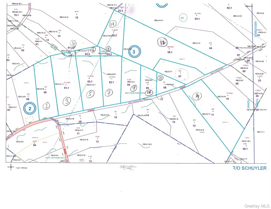 Cosby Road, Frankfort, NY 13340 - #2