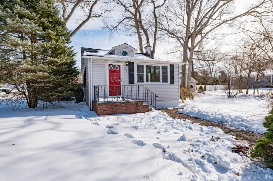 59 Webster Avenue, Ronkonkoma, NY 11779 - #2