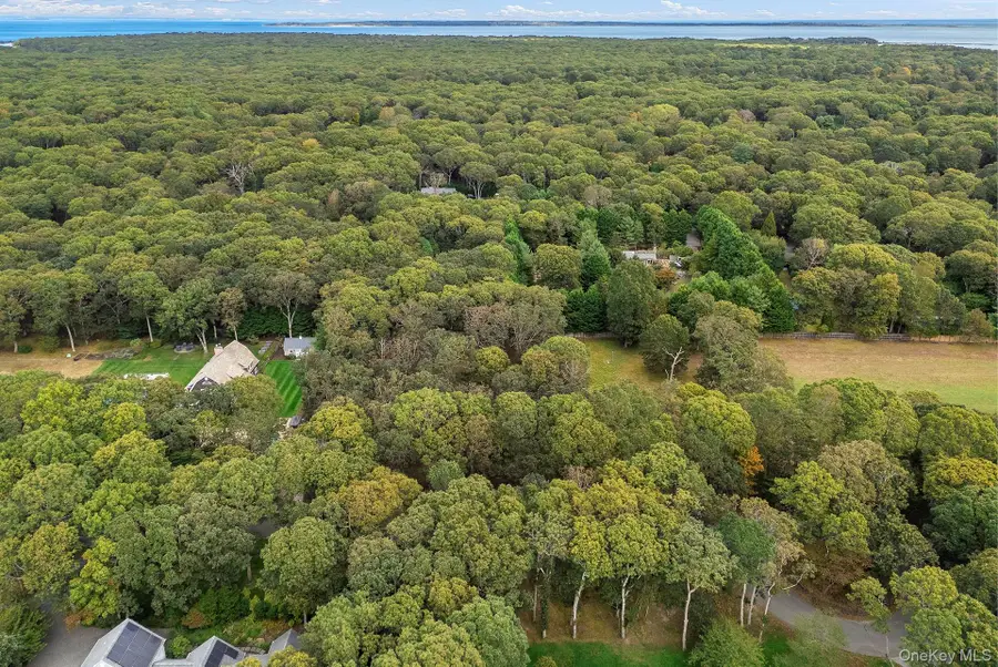 43 Briarcroft Drive, East Hampton, NY 11937 - Image #3