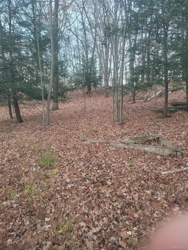 35 Shenandoah Court, Carmel, NY 10512