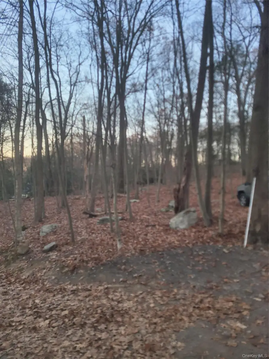 35 Shenandoah Court, Carmel, NY 10512 - #3