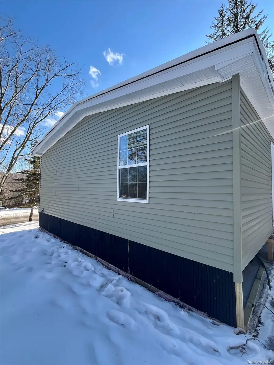 317 Debruce Road, Livingston Manor, NY 12758 - Image #3