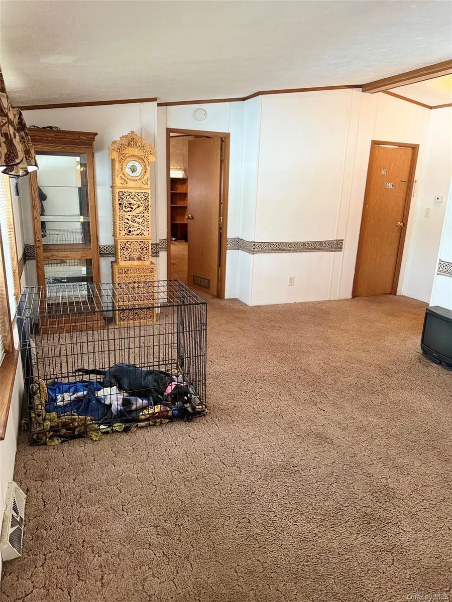 263 Mongaup Road, Hurleyville, NY 12747 - #3