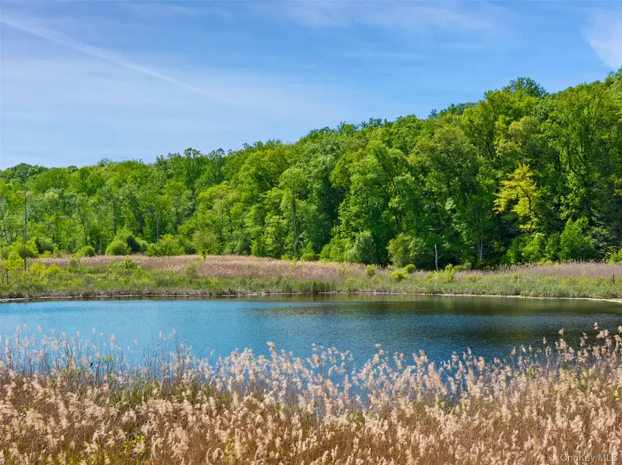 258 Hardscrabble Road, North Salem, NY 10560 - #3