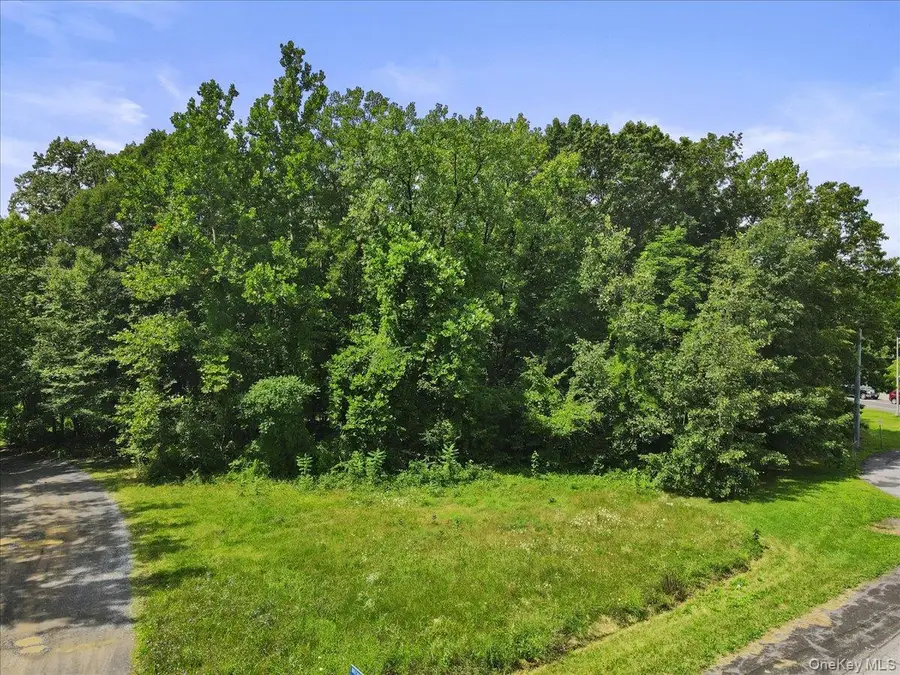 Beckrick Drive, Rhinebeck, NY 12572 - #2