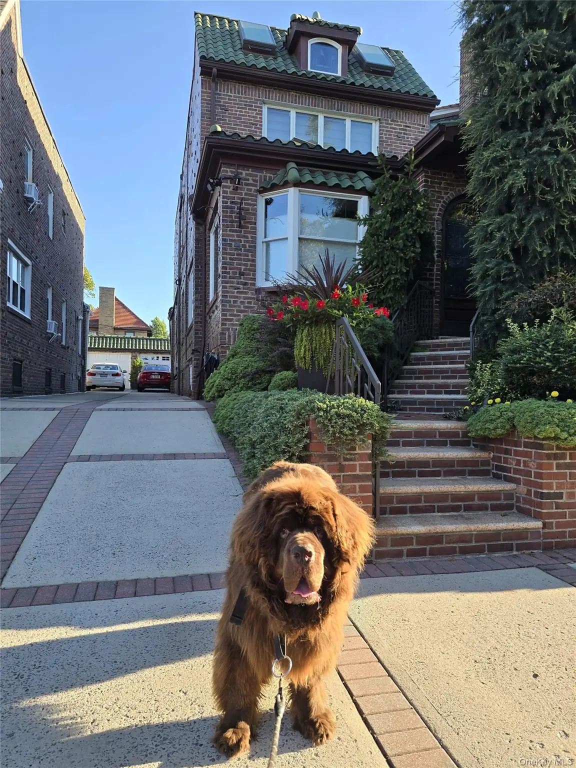 137 82nd Street, Brooklyn, NY 11209 - #1