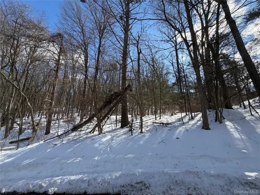 Saw Mill Road, Putnam Valley, NY 10579 - #2