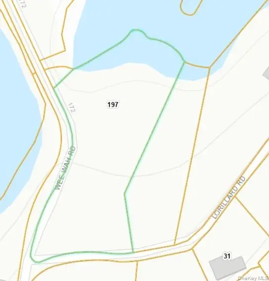 197 Wee Wah Road, Tuxedo Park, NY 10987 - #3