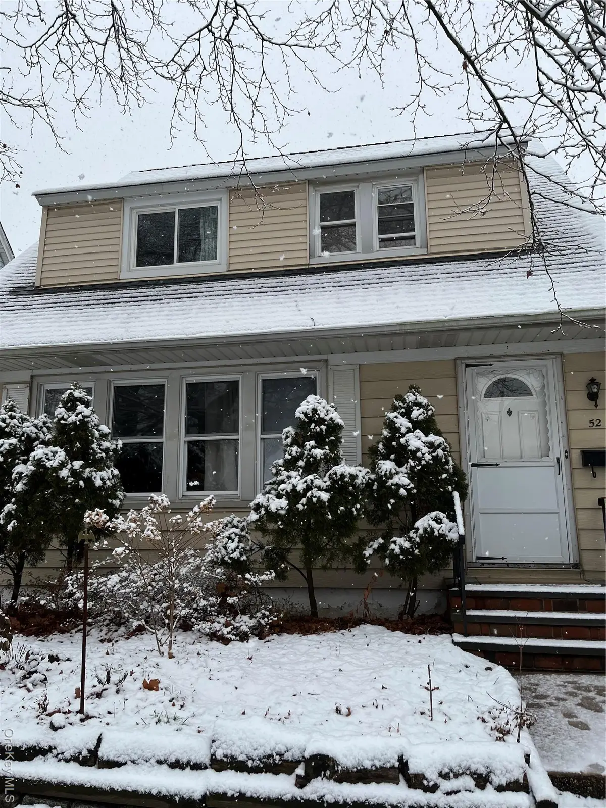 52 Park Avenue, Williston Park, NY 11596 - #1