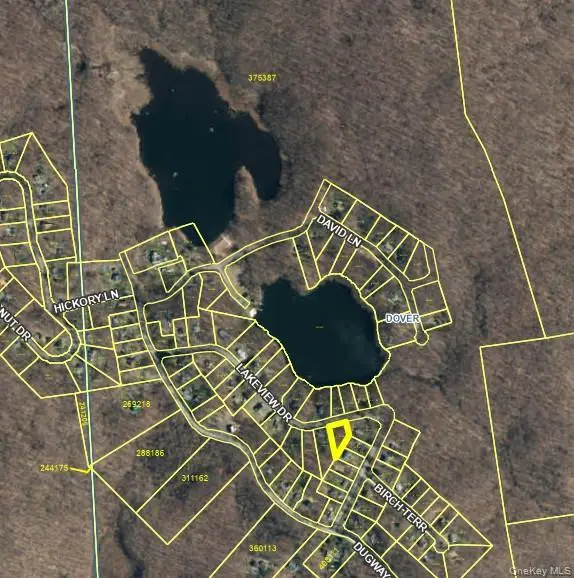 Lakeview Drive, Pawling, NY 12564 - #2