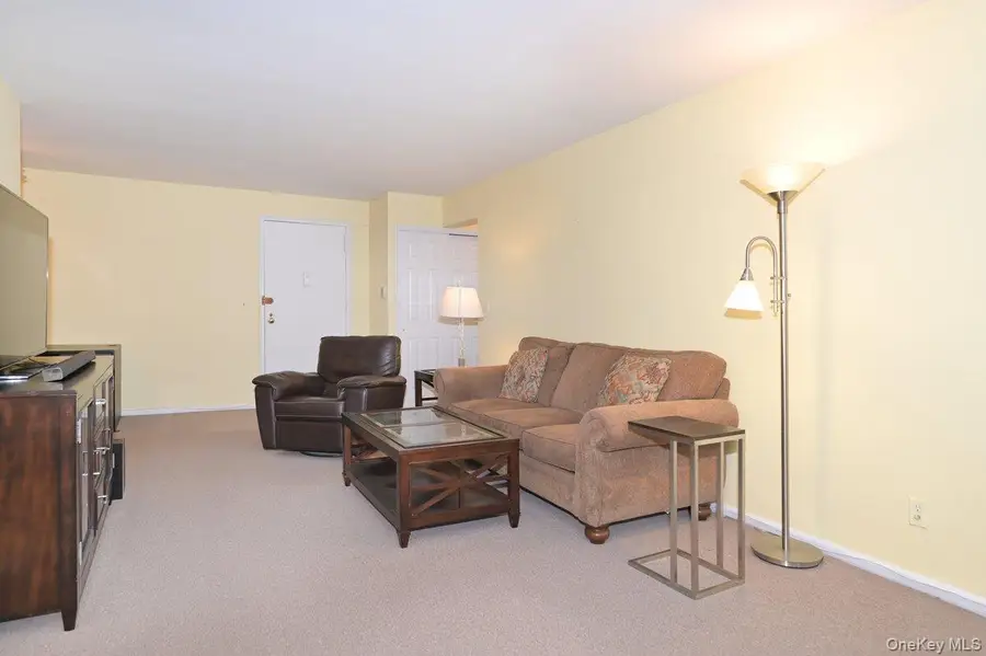 4 Birchwood Court #3J, Mineola, NY 11501 - #3