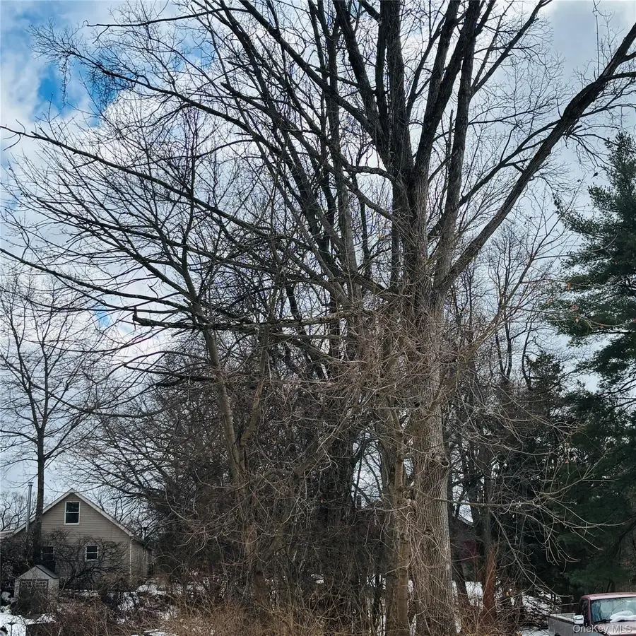 Between 229 and 231 Westchester Avenue, Buchanan, NY 10511 - #3