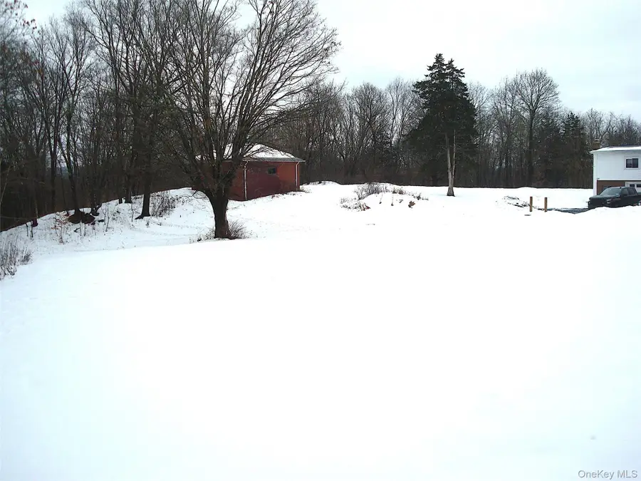 216 Hobbs Lane, Clinton Corners, NY 12514 - #2