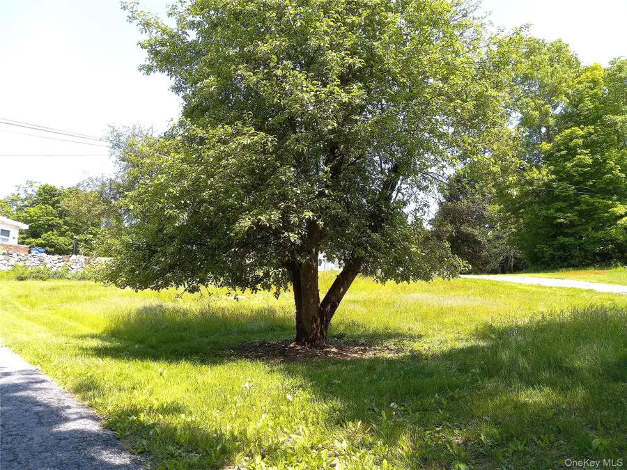 220-224 Hobbs Lane #220 224A 224B, Clinton Corners, NY 12514 - #3