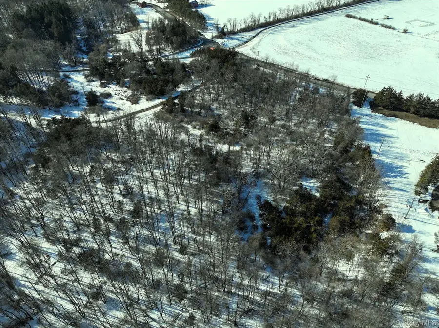 Bells Pond Road, Greenport, NY 12541 - #3