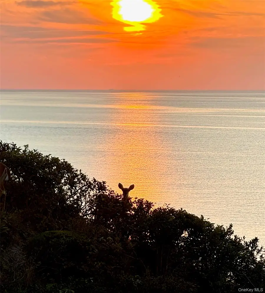 312 Fox Hill Drive, Baiting Hollow, NY 11933 - #3