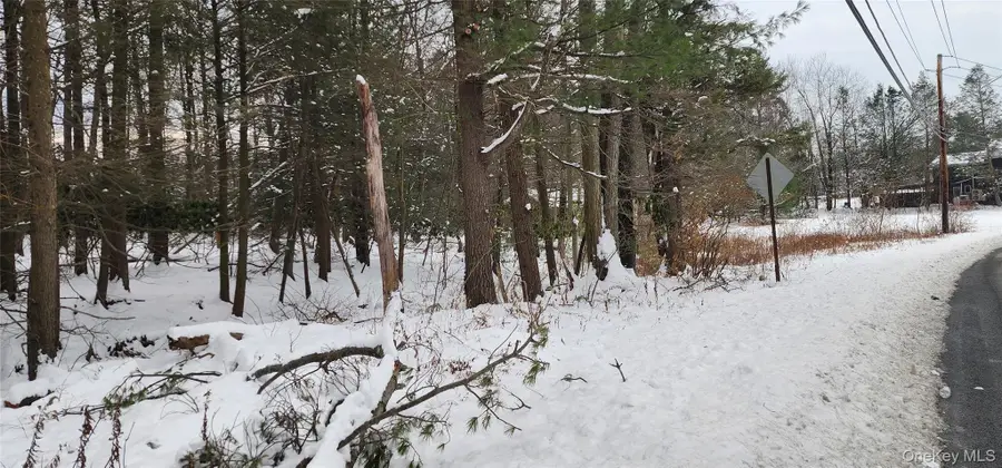 20 Hasbrouck A Road, Loch Sheldrake, NY 12759 - #3