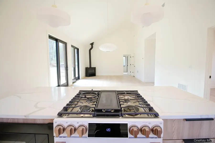 TBD Devlin Road, Highland Lake, NY 12732 - #3