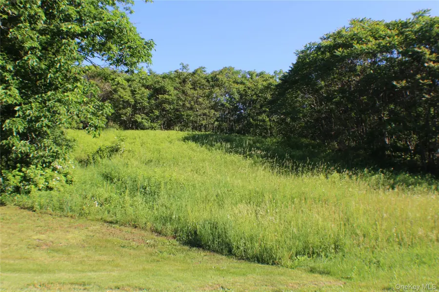 Lot 2 South Centerville Road, Middletown, NY 10940 - #2