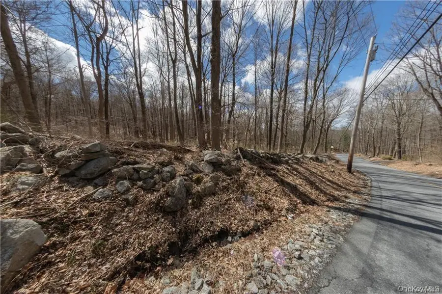 91 Sherwood Hill Road, Brewster, NY 10509 - #3