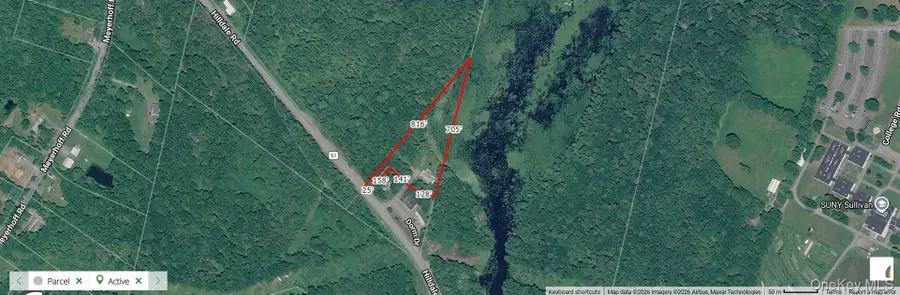 10 Dorm Drive, Fallsburg, NY 12747 - #3