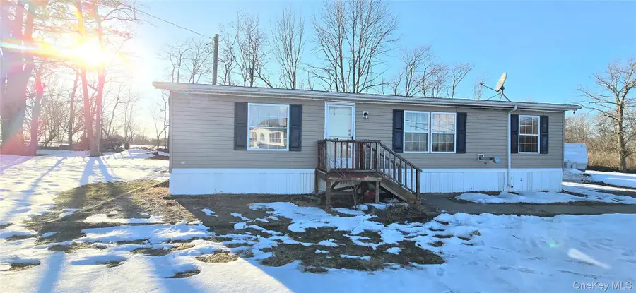 325 Mueller Road, Cochecton, NY 12726 - #2