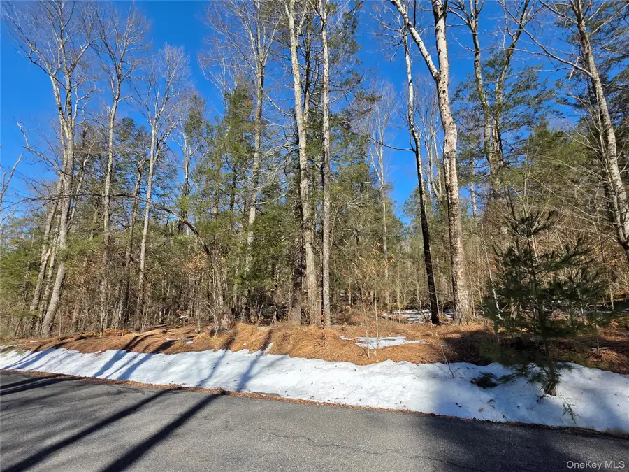 Gregory Road, Monticello, NY 12701 - #3