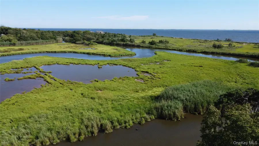 243 S Dunton Avenue, East Patchogue, NY 11772 - #3