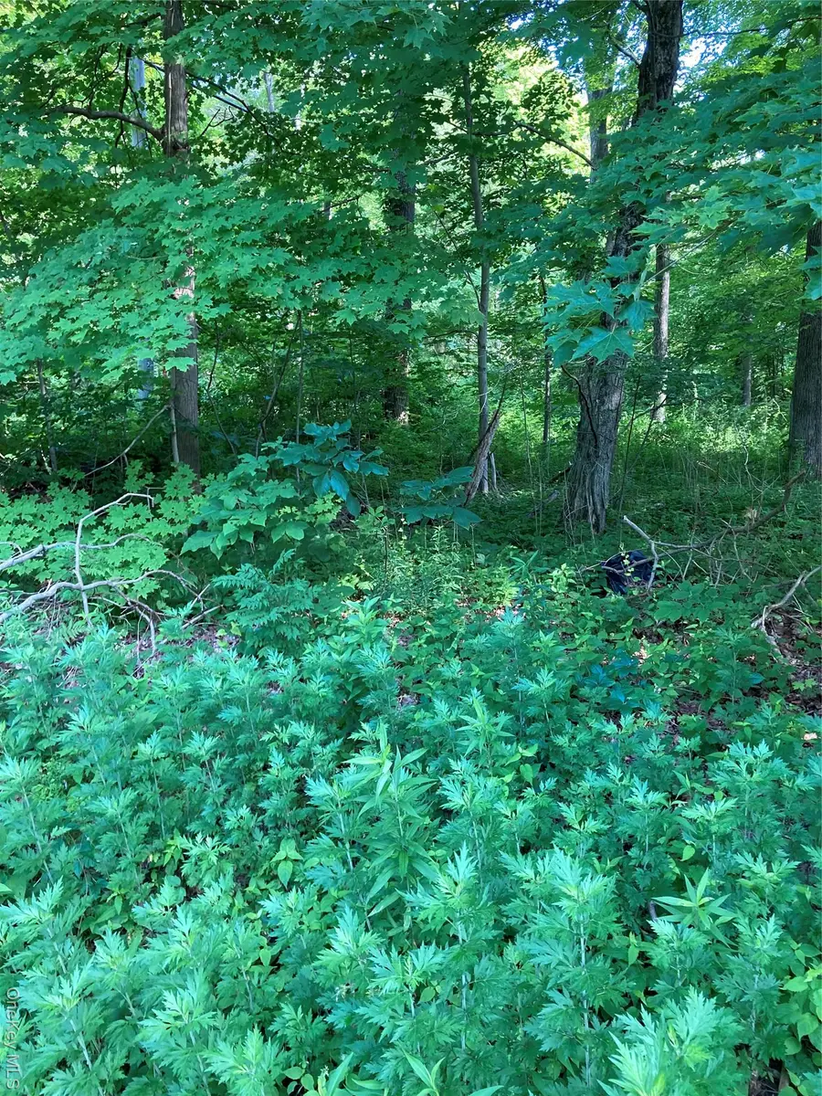 15 Adam Wagner Lane, Mahopac, NY 10541 - #2