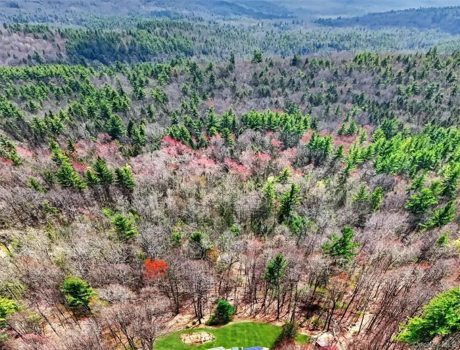 G Fischer Lane, Olivebridge, NY 12461 - #2