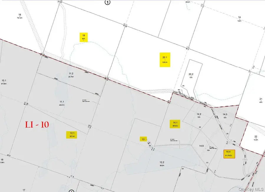 85 Lenape Lake Road, Livingston Manor, NY 12758 - #2