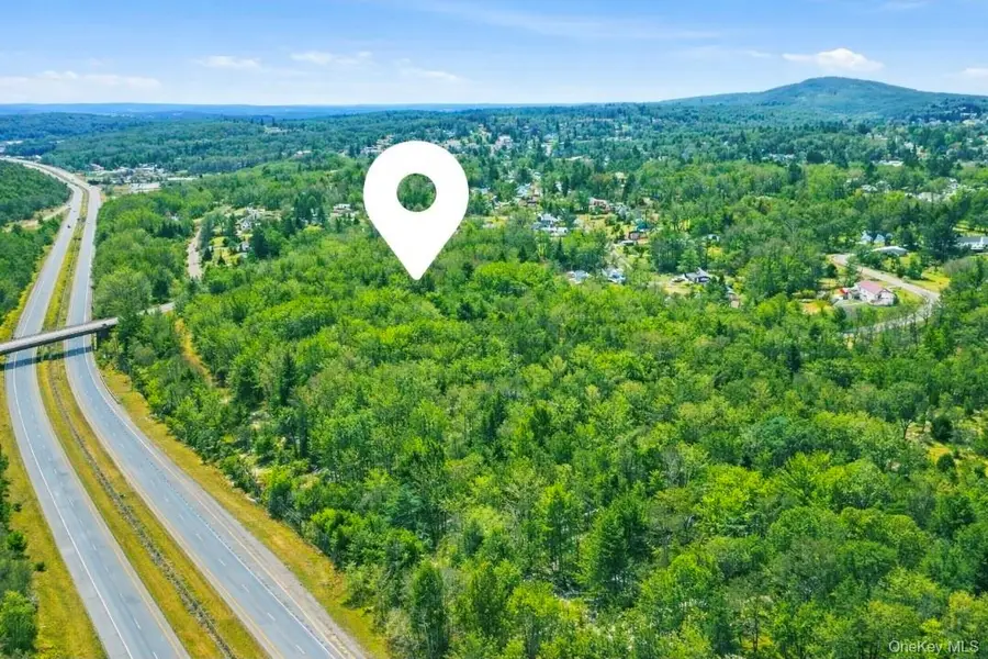 California Avenue, Liberty, NY 12754 - #3