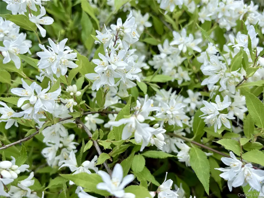 8 Harper Avenue, Montrose, NY 10548 - #3