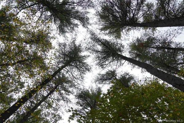 19 Stoutenburgh Drive, Hyde Park, NY 12538