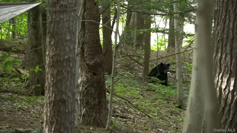 19 Stoutenburgh Drive, Hyde Park, NY 12538 - #2