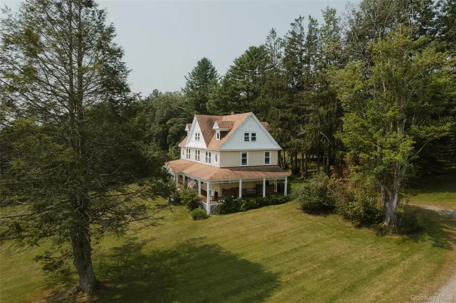 91 Old Hankins Road, Callicoon, NY 12723 - #3