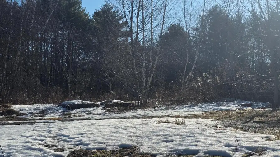 1122 State Route 52, Loch Sheldrake, NY 12759 - #3