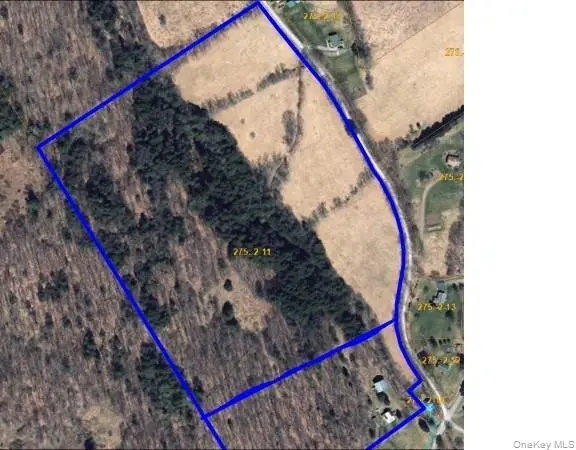 275-1-11 Budine Hill Road, Walton, NY 13856