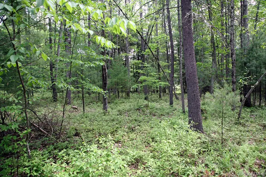 Country Road, Callicoon, NY 12723 - #1