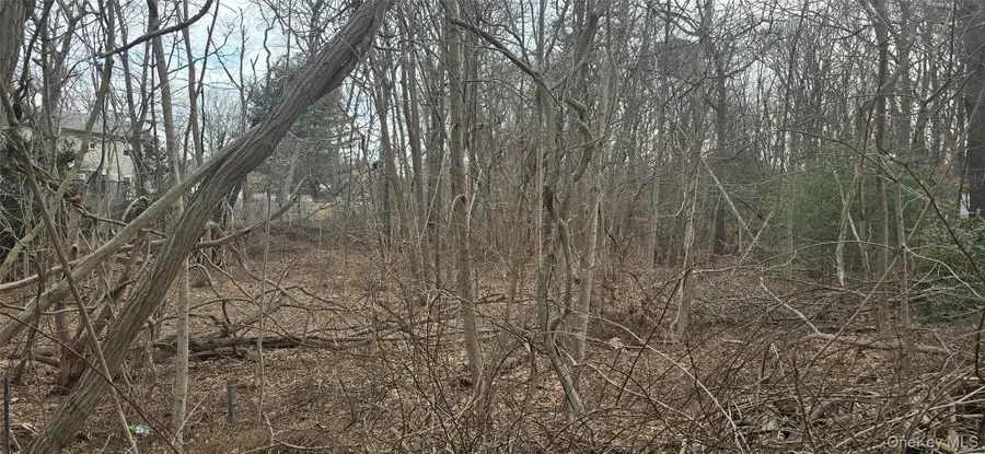 VL(46&47) Bedford Avenue, Mastic, NY 11950 - #3