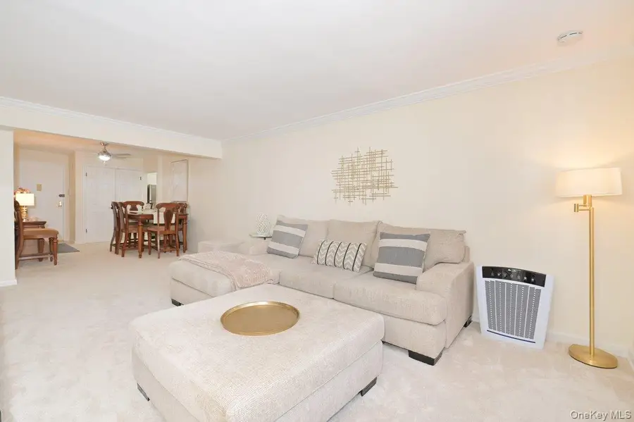 4 Birchwood Court #1O, Mineola, NY 11501 - #3