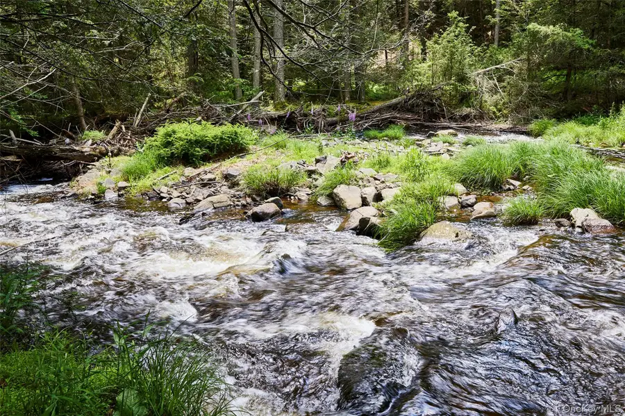 224 Upper Lumber Road, Glen Spey, NY 12737 - #2