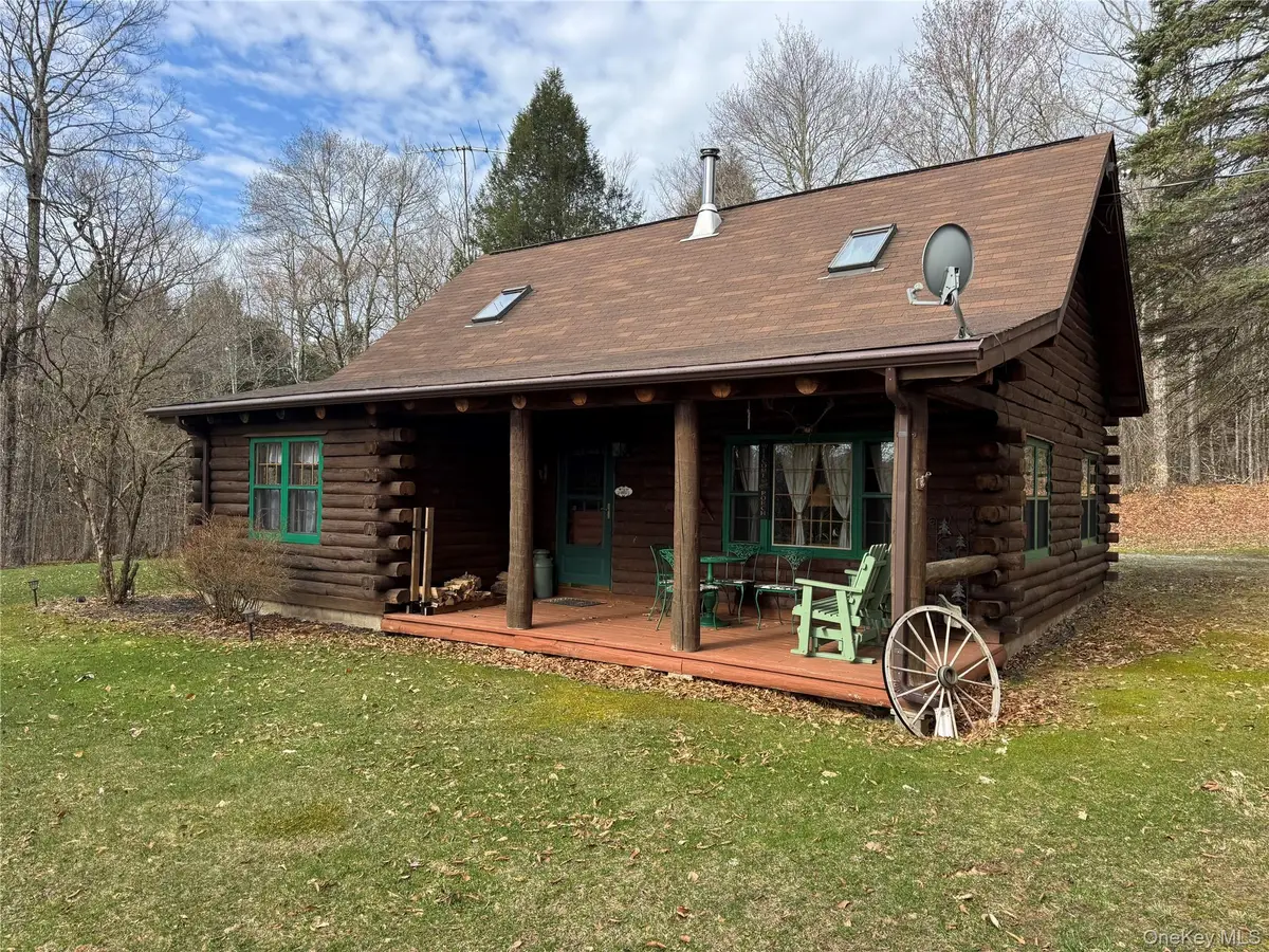 41 Maple Lane, Livingston Manor, NY 12758 - #1